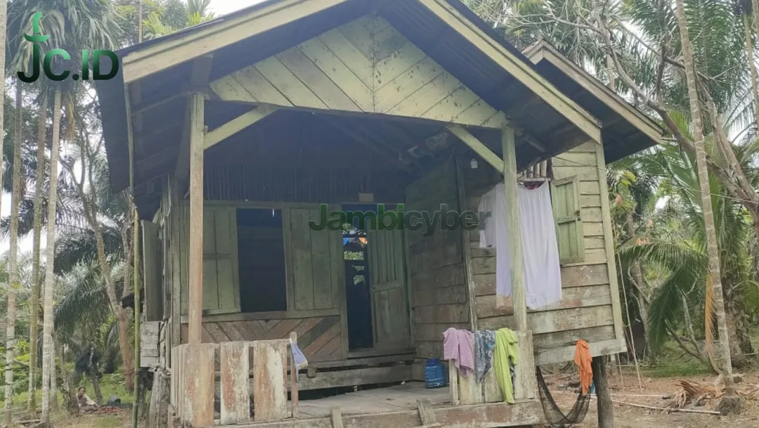 Luput dari Perhatian Pemerintah, Janda di Muaro Jambi Tinggal di Rumah yang Mau Ambruk